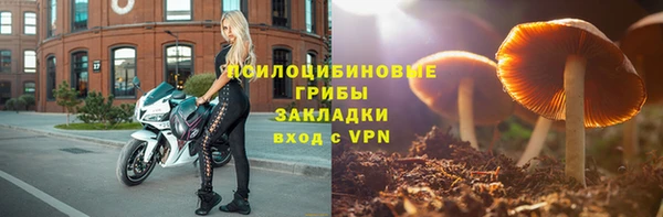 мдпв Мегион
