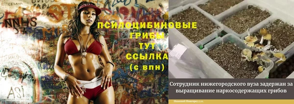 эйфоретик Медвежьегорск