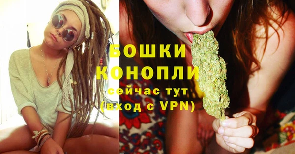 мдпв Мегион