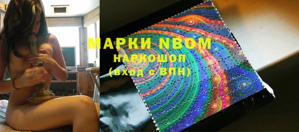 Альфа ПВП Аша