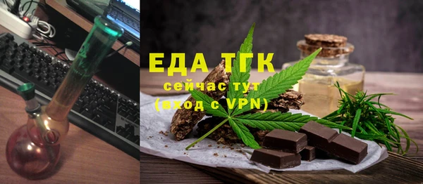 шишки Ельня