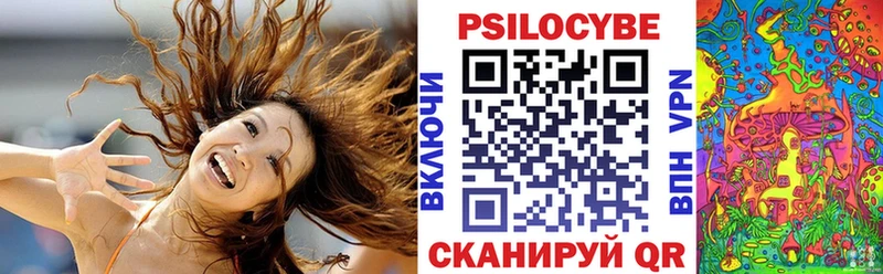 Псилоцибиновые грибы мицелий Олонец