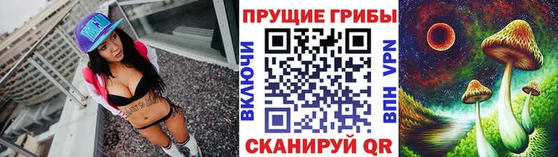 Псилоцибиновые грибы Cubensis  Олонец 